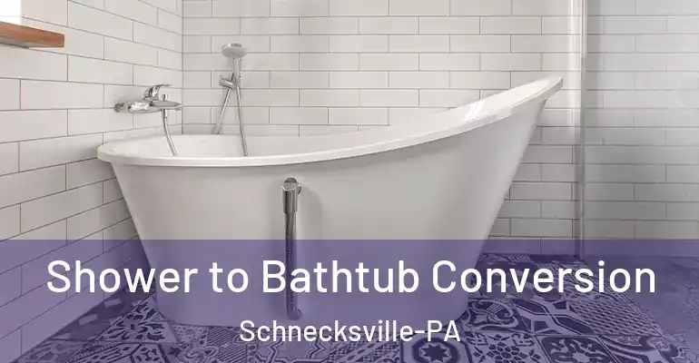 inner Bathroom imggen Shower to Bathtub Conversion Schnecksville-PA