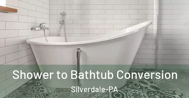 inner Bathroom imggen Shower to Bathtub Conversion Silverdale-PA