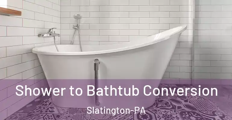 inner Bathroom imggen Shower to Bathtub Conversion Slatington-PA