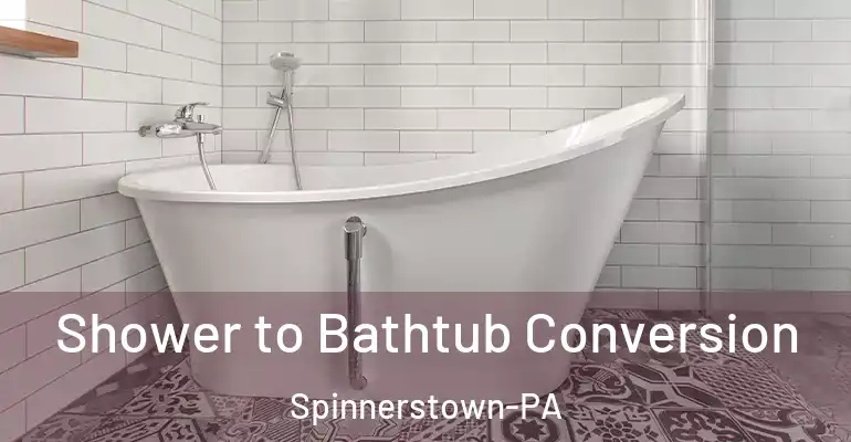 inner Bathroom imggen Shower to Bathtub Conversion Spinnerstown-PA