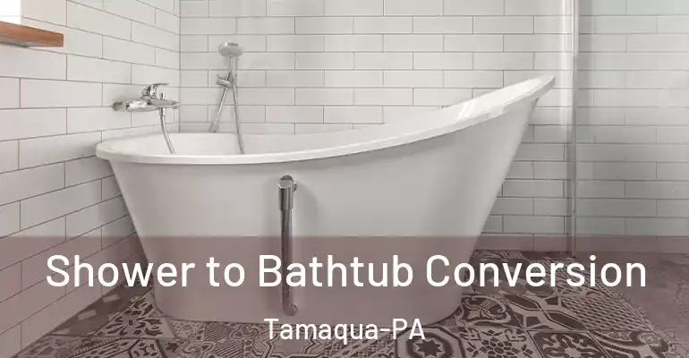 inner Bathroom imggen Shower to Bathtub Conversion Tamaqua-PA