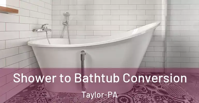 inner Bathroom imggen Shower to Bathtub Conversion Taylor-PA