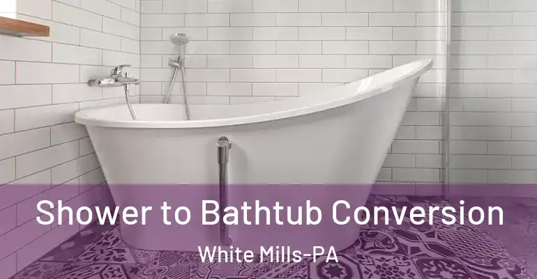 inner Bathroom imggen Shower to Bathtub Conversion White Mills-PA