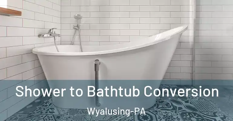 inner Bathroom imggen Shower to Bathtub Conversion Wyalusing-PA