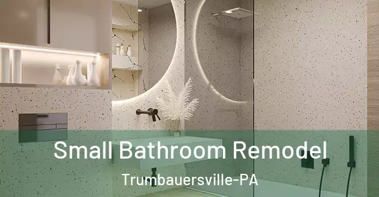 inner Bathroom imggen Small Bathroom Remodel Trumbauersville-PA