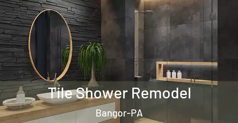 inner Bathroom imggen Tile Shower Remodel Bangor-PA