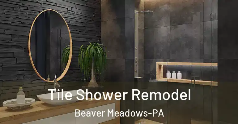 inner Bathroom imggen Tile Shower Remodel Beaver Meadows-PA