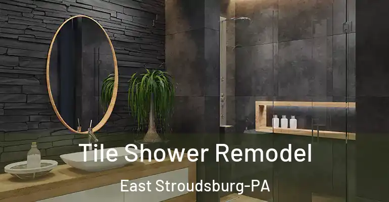 inner Bathroom imggen Tile Shower Remodel East Stroudsburg-PA