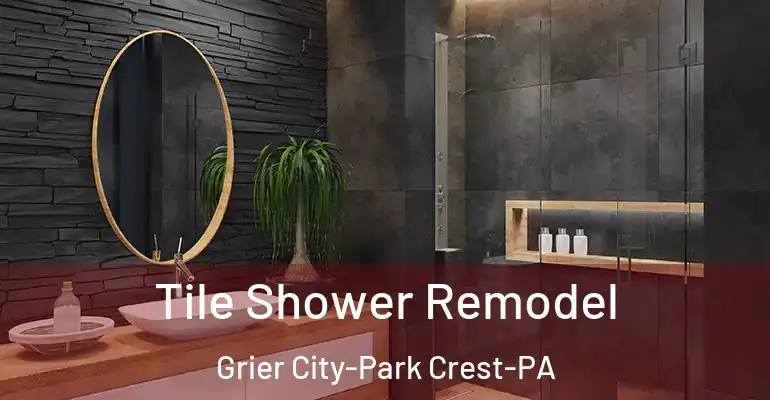 inner Bathroom imggen Tile Shower Remodel Grier City-Park Crest-PA