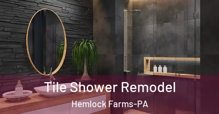 inner Bathroom imggen Tile Shower Remodel Hemlock Farms-PA