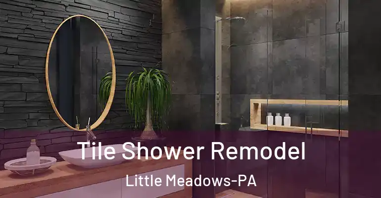 inner Bathroom imggen Tile Shower Remodel Little Meadows-PA