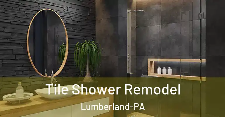 inner Bathroom imggen Tile Shower Remodel Lumberland-PA