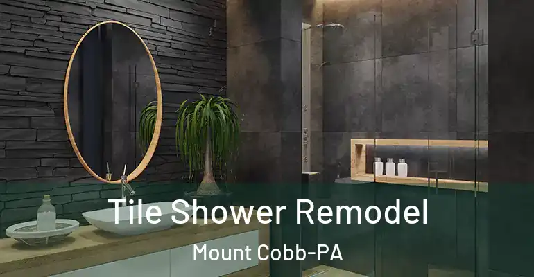 inner Bathroom imggen Tile Shower Remodel Mount Cobb-PA