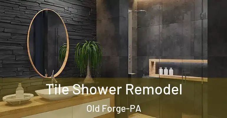 inner Bathroom imggen Tile Shower Remodel Old Forge-PA