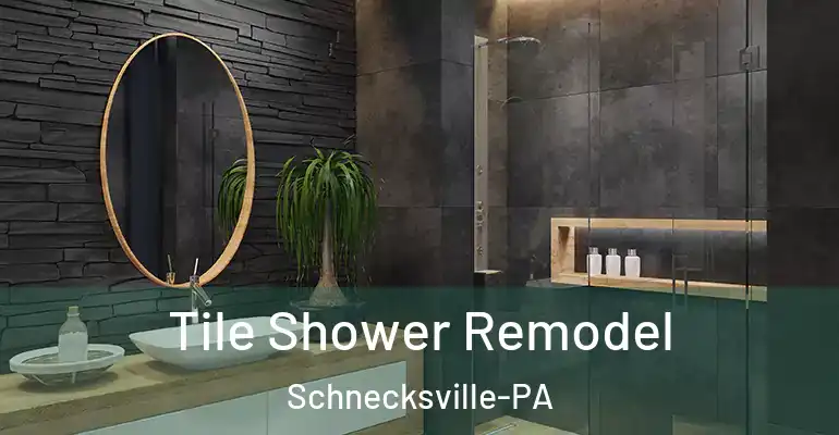 inner Bathroom imggen Tile Shower Remodel Schnecksville-PA