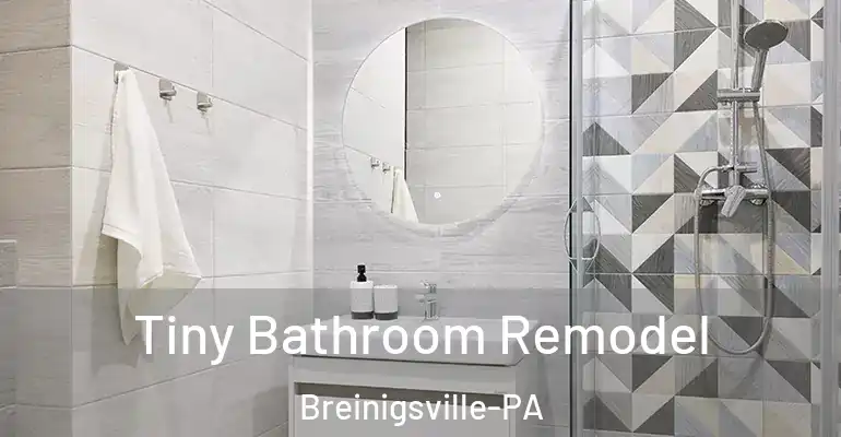 inner Bathroom imggen Tiny Bathroom Remodel Breinigsville-PA