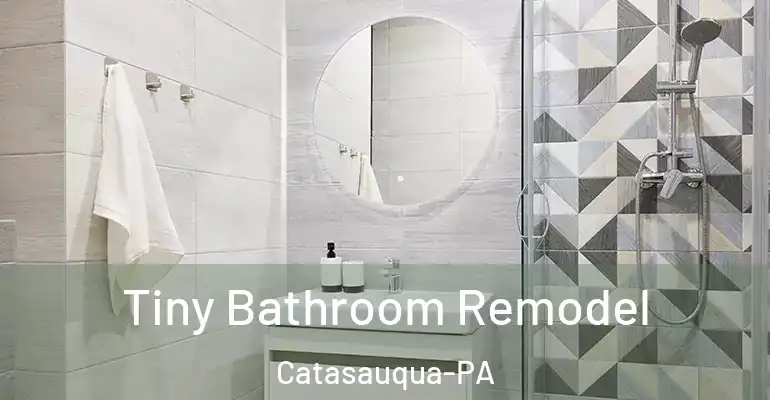inner Bathroom imggen Tiny Bathroom Remodel Catasauqua-PA