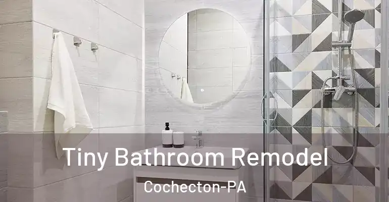 inner Bathroom imggen Tiny Bathroom Remodel Cochecton-PA