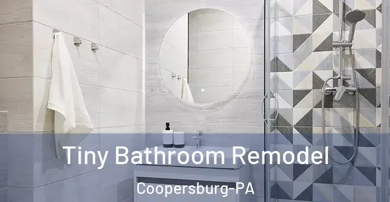 inner Bathroom imggen Tiny Bathroom Remodel Coopersburg-PA