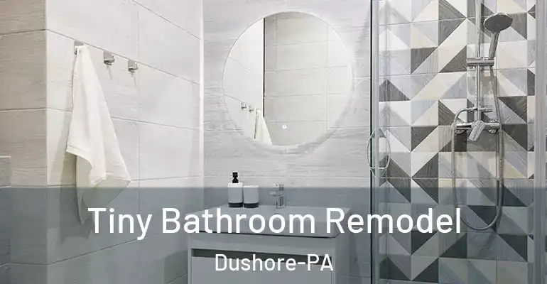 inner Bathroom imggen Tiny Bathroom Remodel Dushore-PA