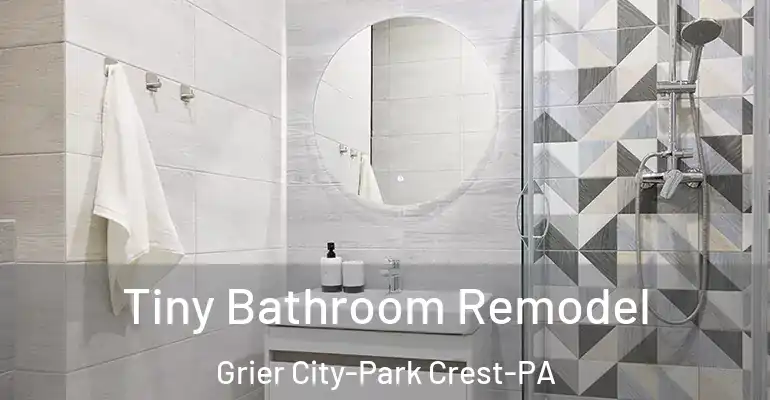 inner Bathroom imggen Tiny Bathroom Remodel Grier City-Park Crest-PA