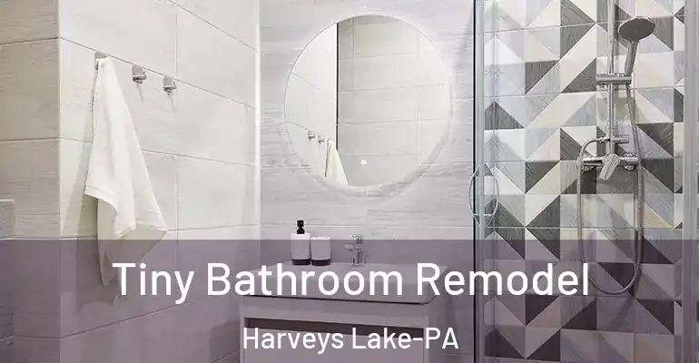 inner Bathroom imggen Tiny Bathroom Remodel Harveys Lake-PA