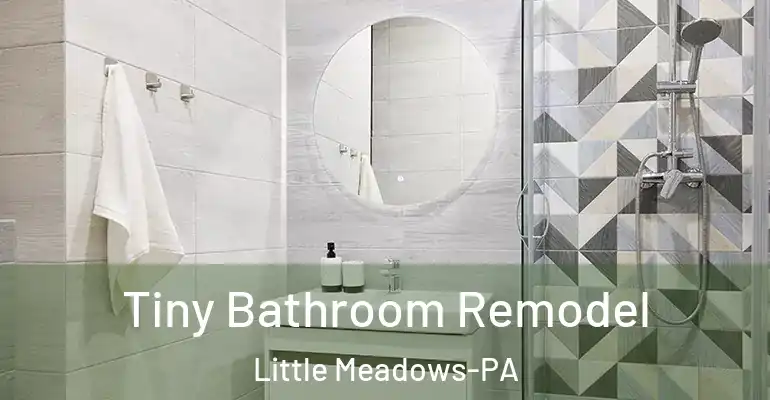 inner Bathroom imggen Tiny Bathroom Remodel Little Meadows-PA