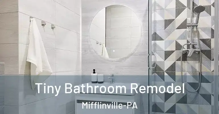 inner Bathroom imggen Tiny Bathroom Remodel Mifflinville-PA