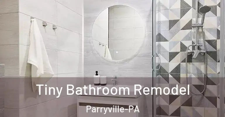 inner Bathroom imggen Tiny Bathroom Remodel Parryville-PA