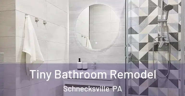 inner Bathroom imggen Tiny Bathroom Remodel Schnecksville-PA