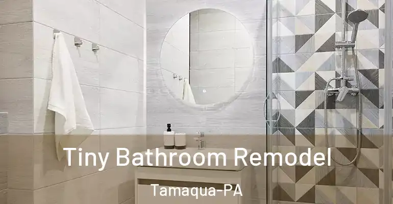 inner Bathroom imggen Tiny Bathroom Remodel Tamaqua-PA