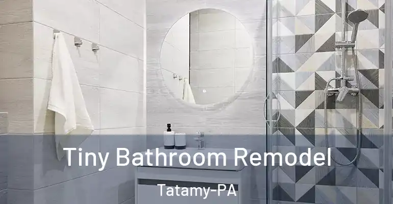 inner Bathroom imggen Tiny Bathroom Remodel Tatamy-PA