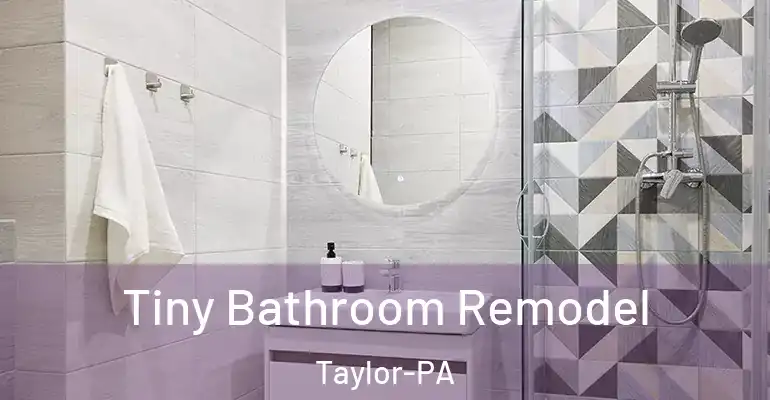 inner Bathroom imggen Tiny Bathroom Remodel Taylor-PA