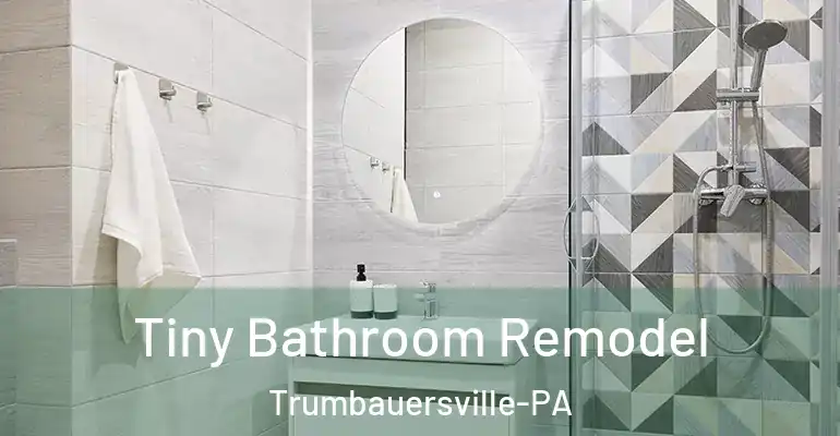 inner Bathroom imggen Tiny Bathroom Remodel Trumbauersville-PA