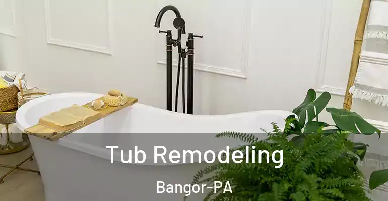 inner Bathroom imggen Tub Remodeling Bangor-PA