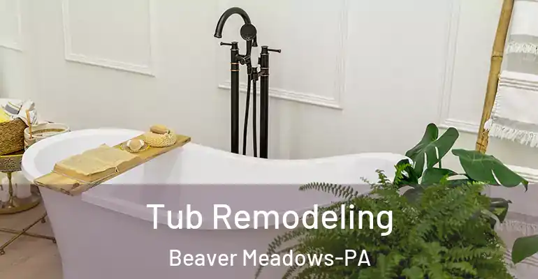 inner Bathroom imggen Tub Remodeling Beaver Meadows-PA