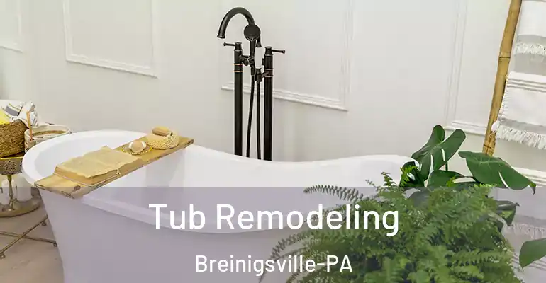 inner Bathroom imggen Tub Remodeling Breinigsville-PA