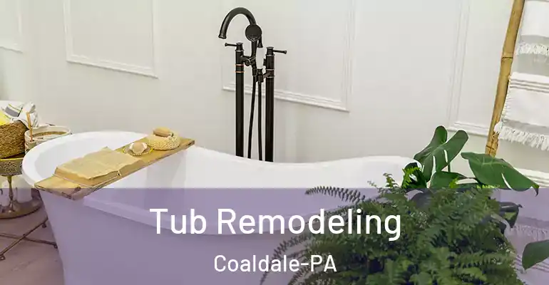 inner Bathroom imggen Tub Remodeling Coaldale-PA