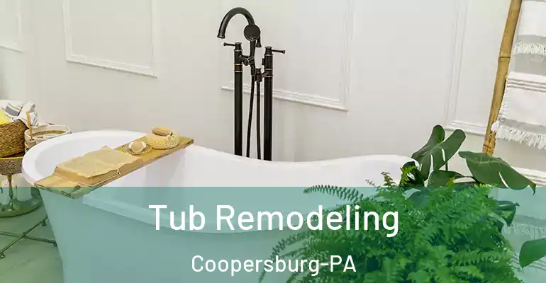 inner Bathroom imggen Tub Remodeling Coopersburg-PA