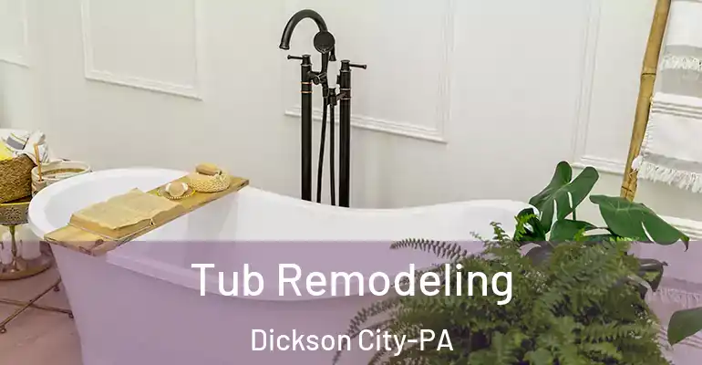 inner Bathroom imggen Tub Remodeling Dickson City-PA