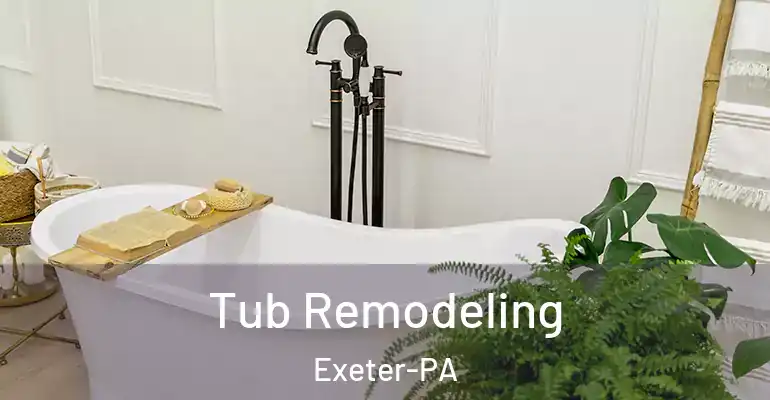 inner Bathroom imggen Tub Remodeling Exeter-PA