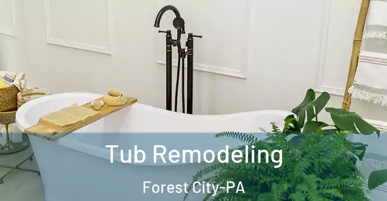 inner Bathroom imggen Tub Remodeling Forest City-PA