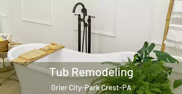 inner Bathroom imggen Tub Remodeling Grier City-Park Crest-PA