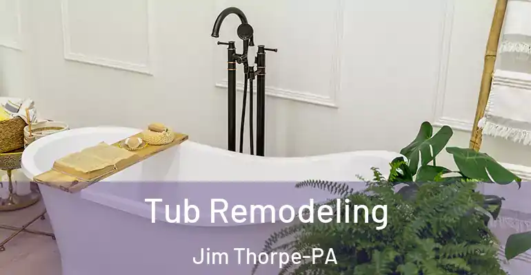 inner Bathroom imggen Tub Remodeling Jim Thorpe-PA