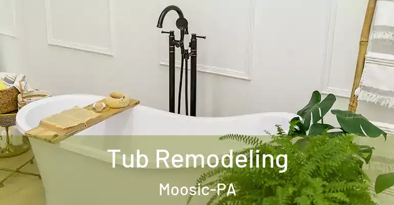 inner Bathroom imggen Tub Remodeling Moosic-PA