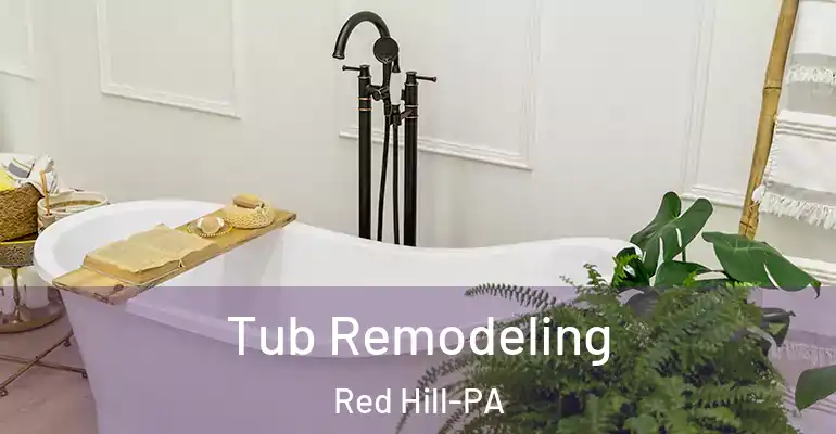 inner Bathroom imggen Tub Remodeling Red Hill-PA