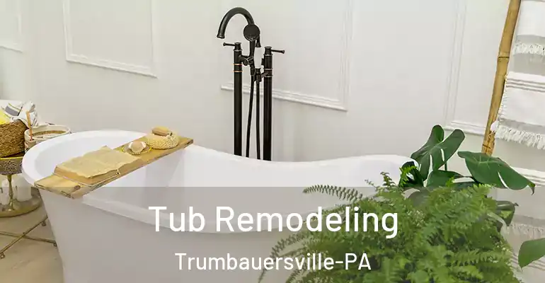 inner Bathroom imggen Tub Remodeling Trumbauersville-PA