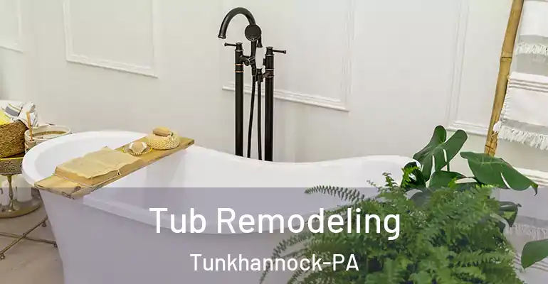 inner Bathroom imggen Tub Remodeling Tunkhannock-PA