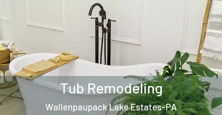 inner Bathroom imggen Tub Remodeling Wallenpaupack Lake Estates-PA