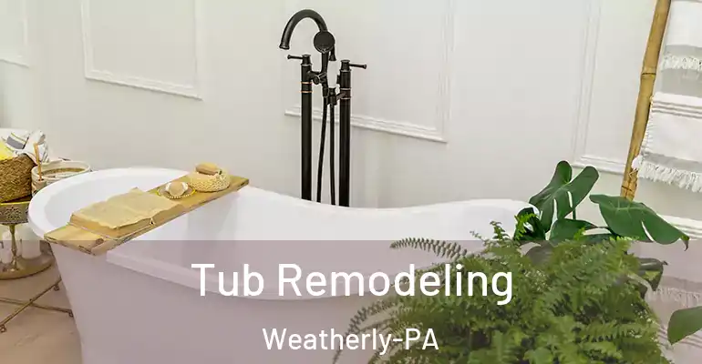 inner Bathroom imggen Tub Remodeling Weatherly-PA